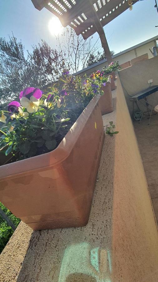 B Resort דירת נופש בדרום רמת הגולן Giv'at Yo'av Extérieur photo